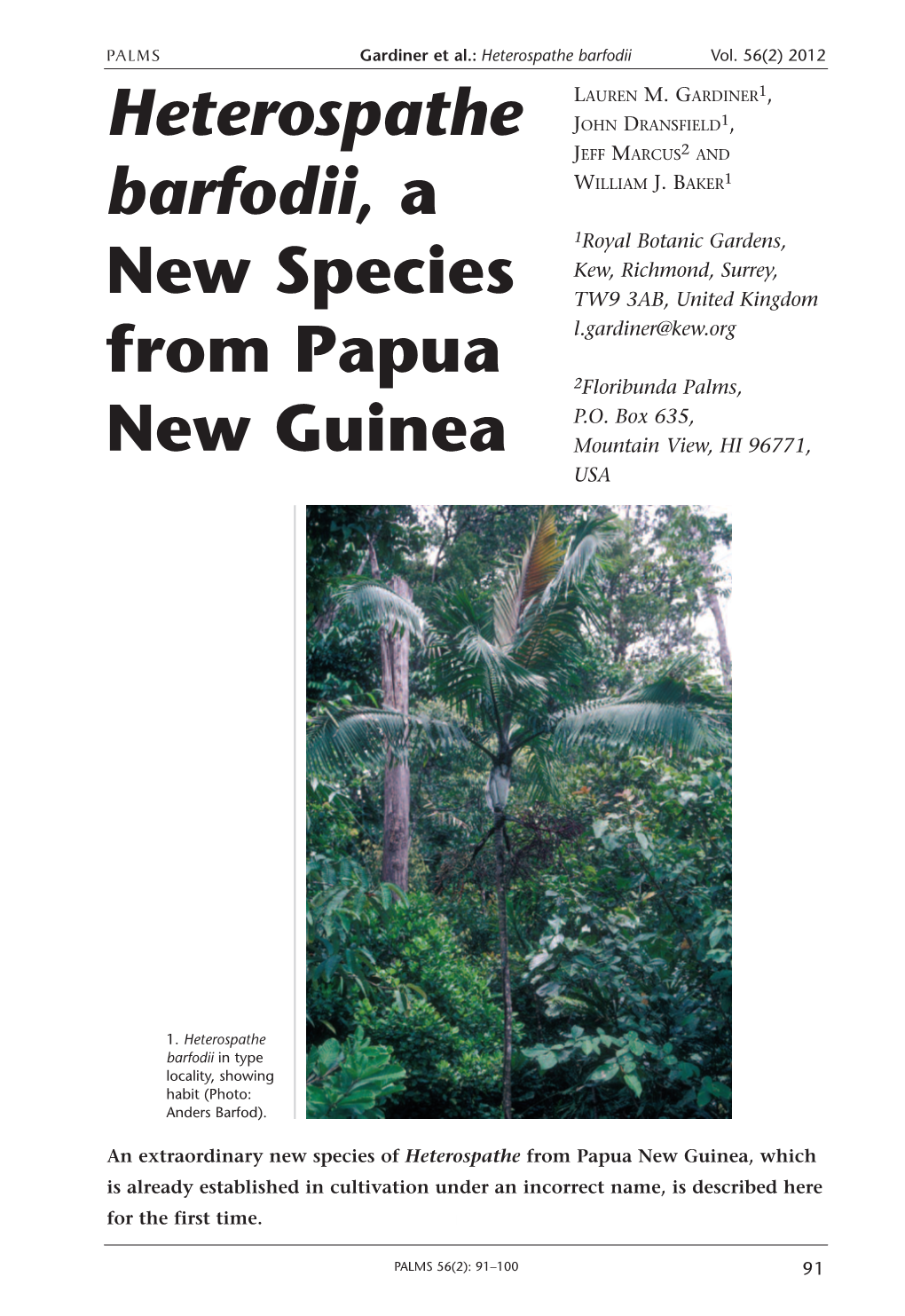 Heterospathe Barfodii, a New Species from Papua New Guinea