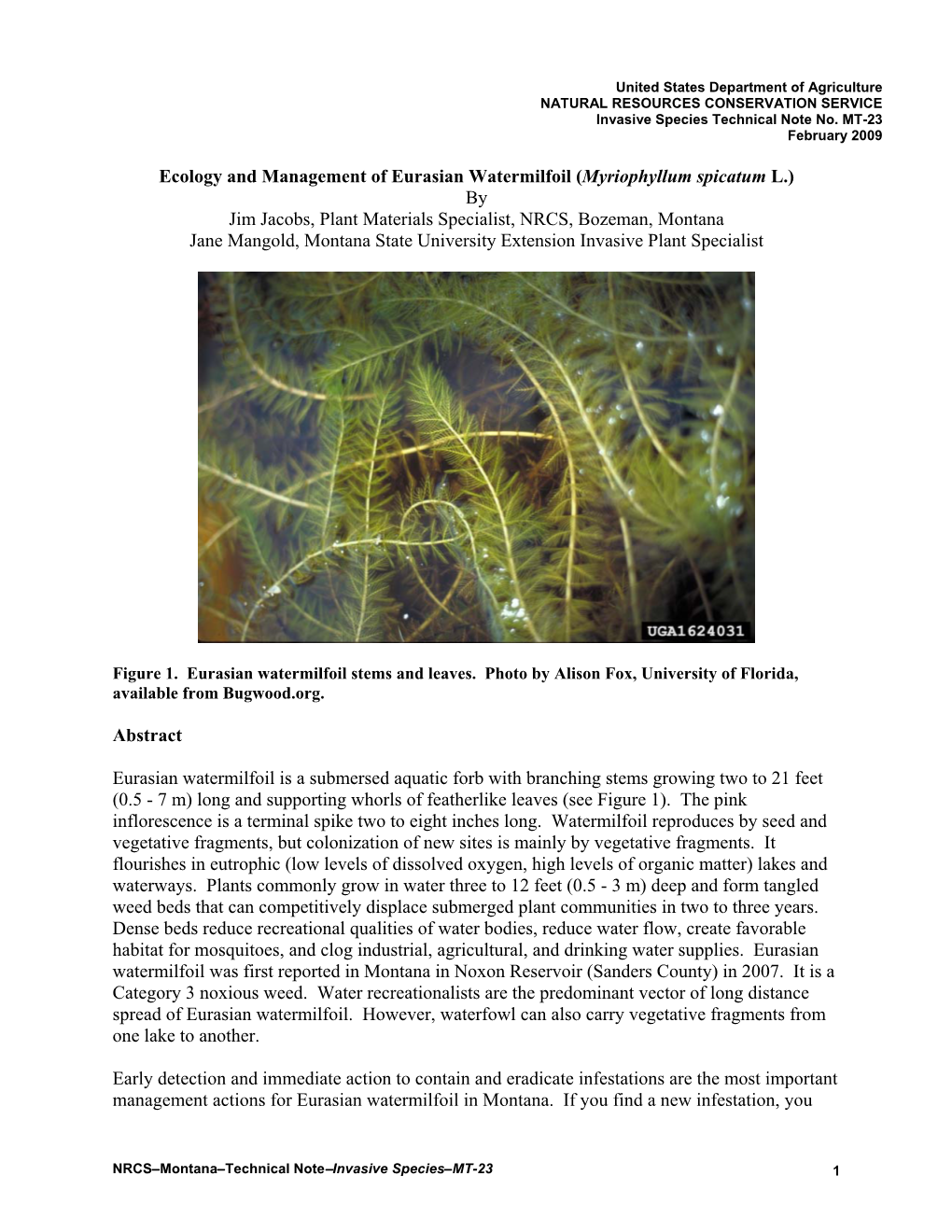 Montana Invasive Plant Species Technical Note