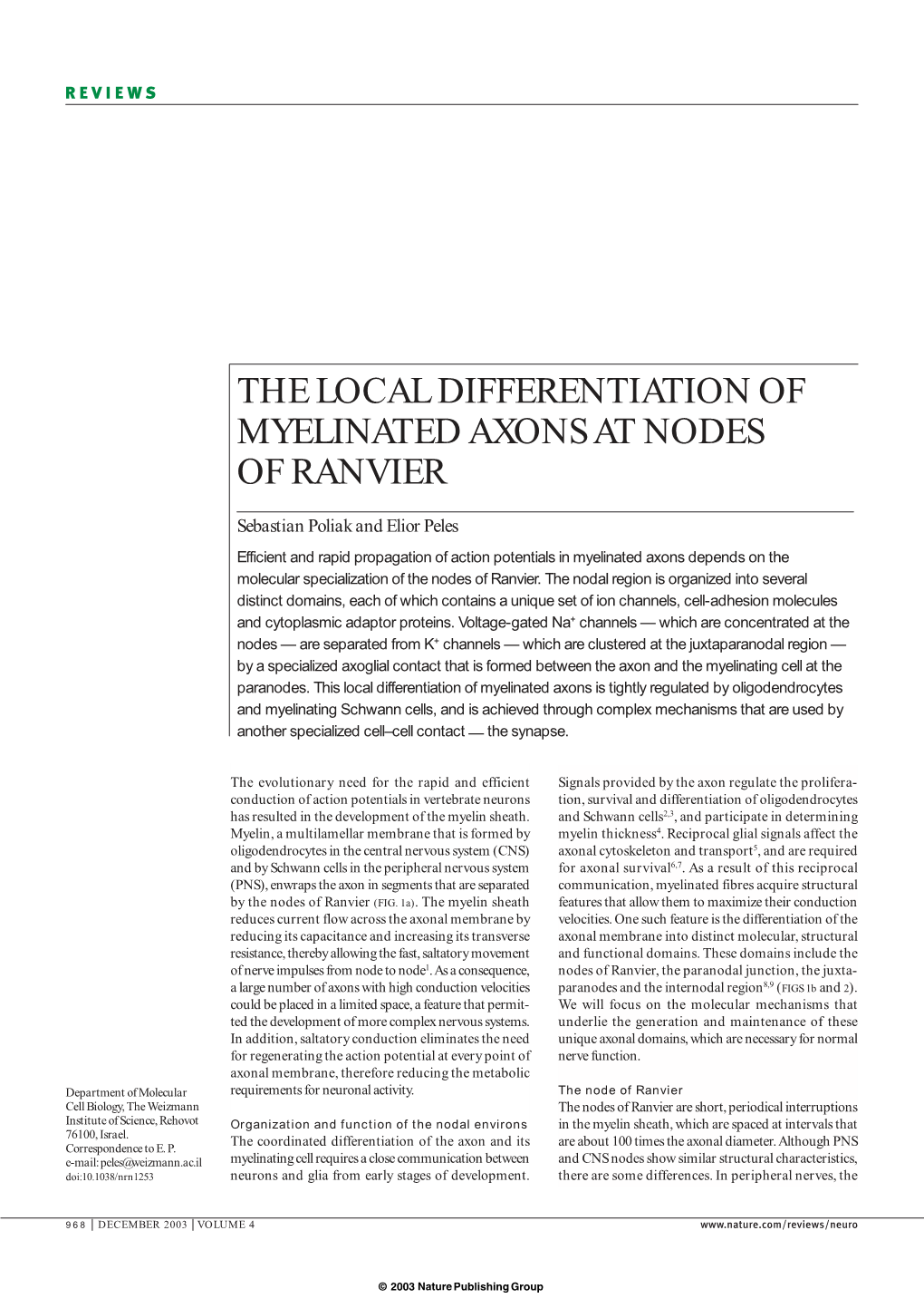 The Local Differentiation of Myelinated Axons at Nodes of Ranvier