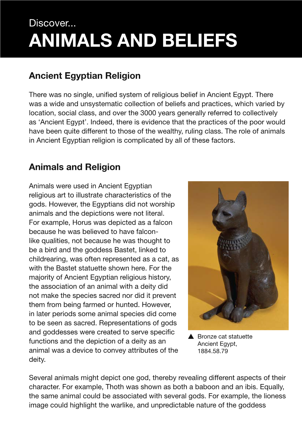 Animals and Beliefs Ancient Egyptian Religion