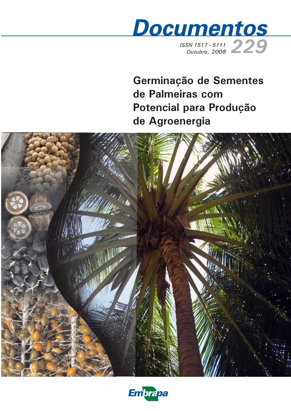 Germinação De Sementes De Palmeiras Com Potencial Para Produção De Agroenergia 7 6 1 8