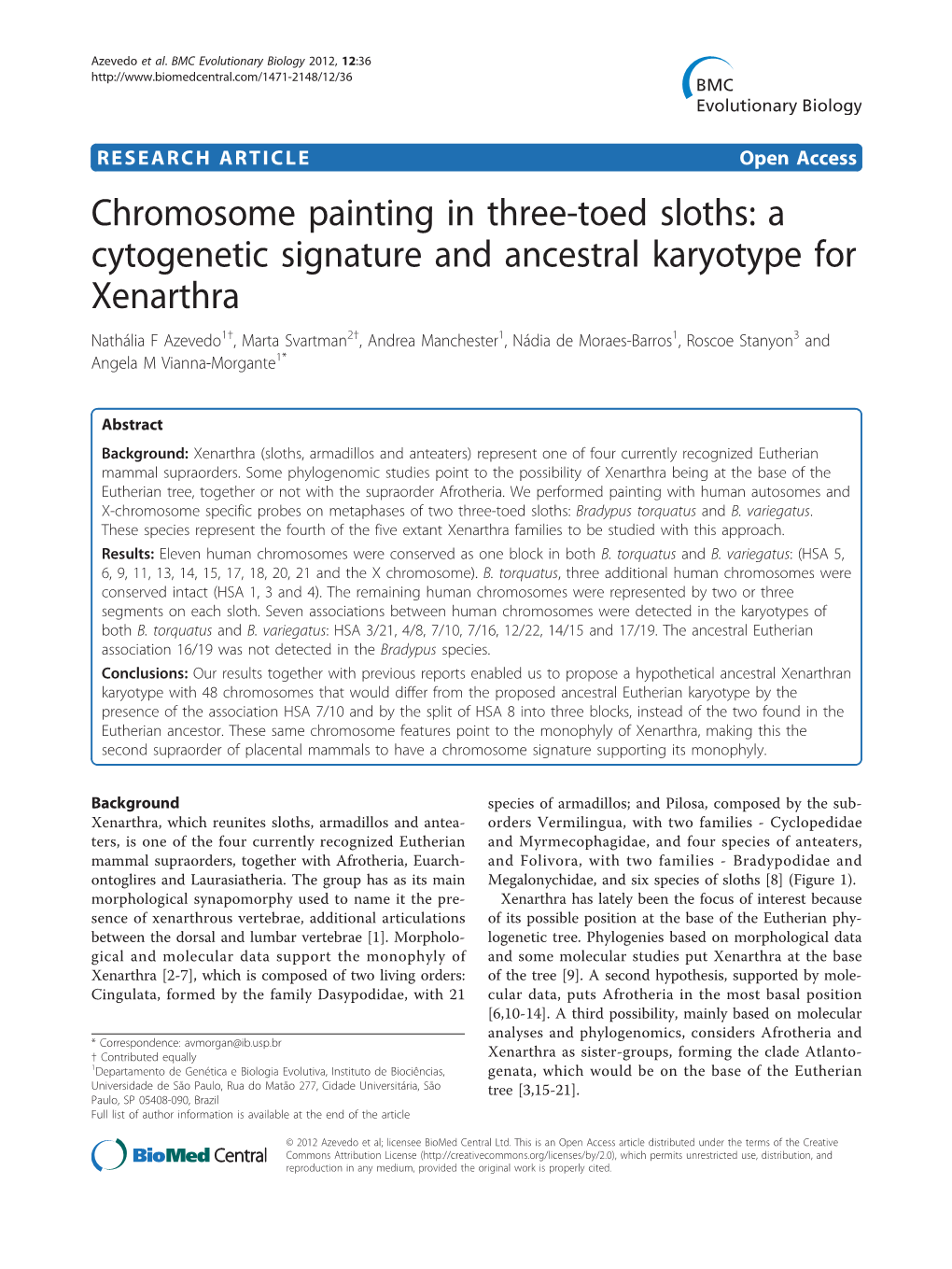 Chromosome Painting in Three-Toed Sloths: a Cytogenetic Signature And