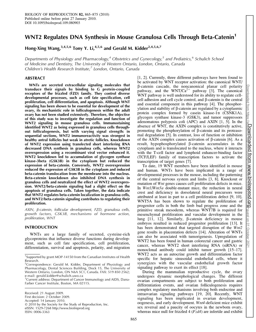 WNT2 Regulates DNA Synthesis in Mouse Granulosa Cells Through Beta-Catenin1