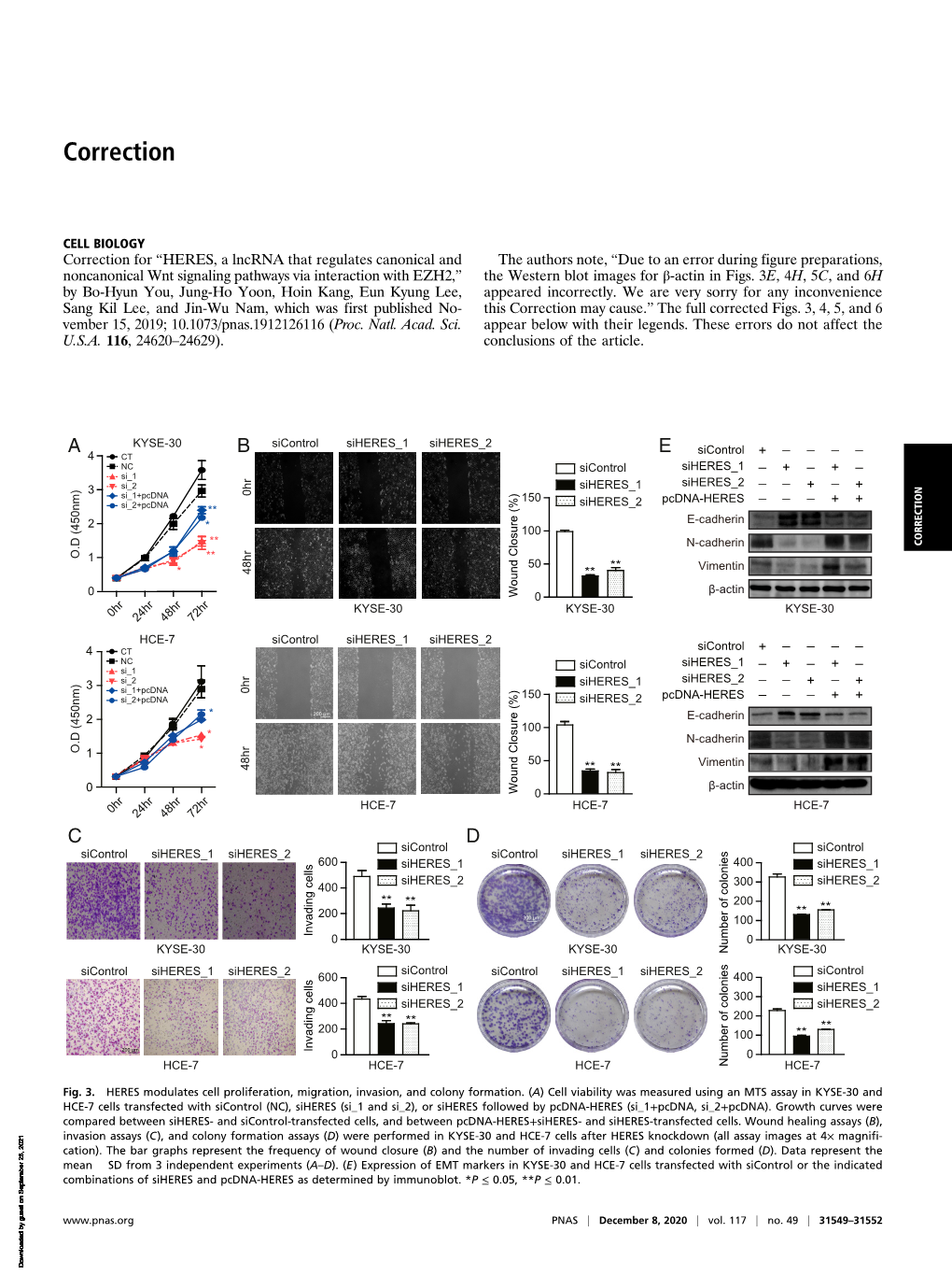 HERES, a Lncrna That Regulates Canonical and Noncanonical Wnt Signaling Pathways Via Interaction with EZH2