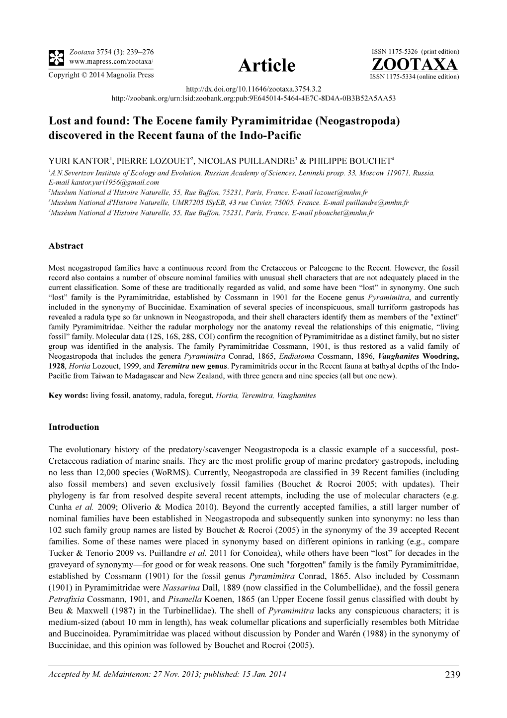 The Eocene Family Pyramimitridae (Neogastropoda) Discovered in the Recent Fauna of the Indo-Pacific