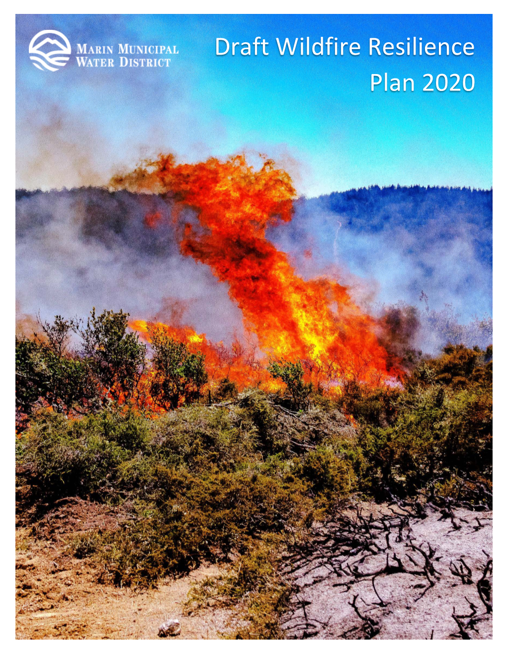 Draft Wildfire Resilience Plan 2020