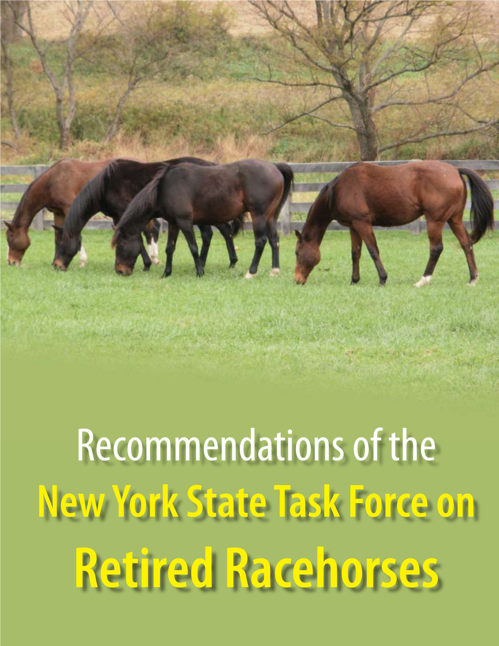 New York State Task Force on Retired Racehorses Members of the Task Force on Retired Racehorses
