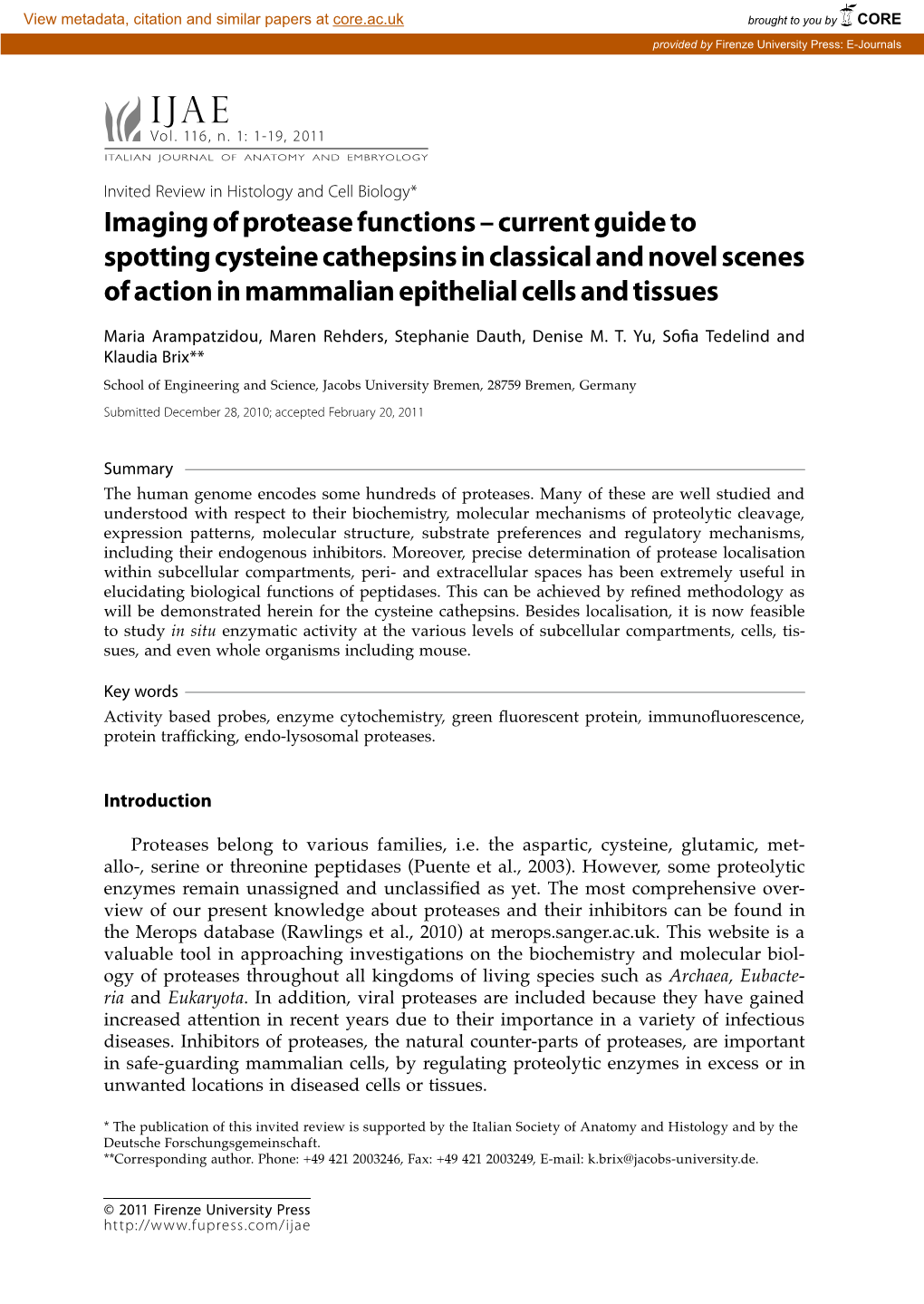 Imaging of Protease Functions – Current Guide to Spotting Cysteine Cathepsins in Classical and Novel Scenes of Action in Mammalian Epithelial Cells and Tissues