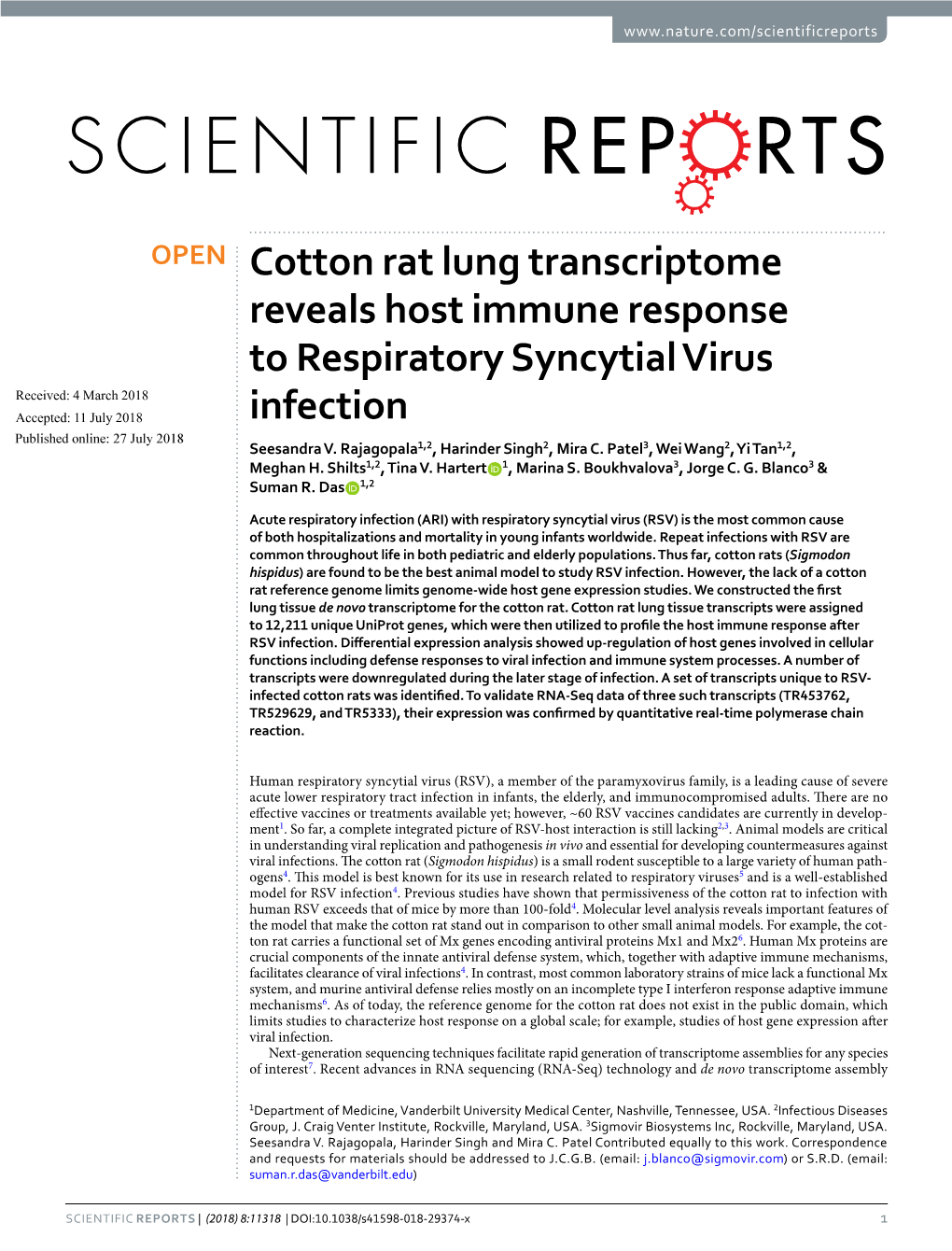 Cotton Rat Lung Transcriptome Reveals Host Immune Response To