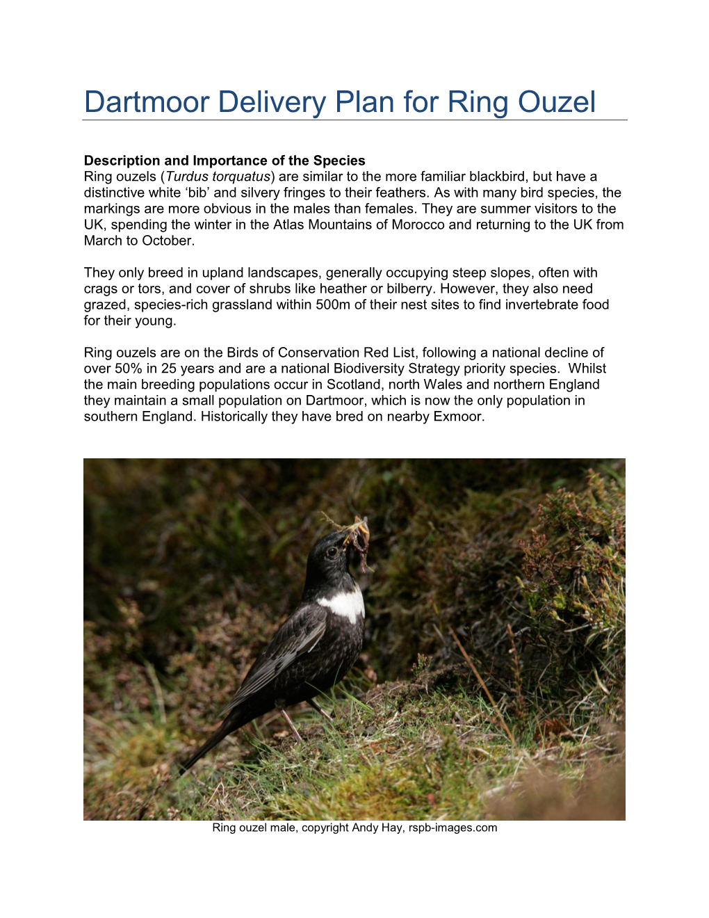 Dartmoor Delivery Plan for Ring Ouzel