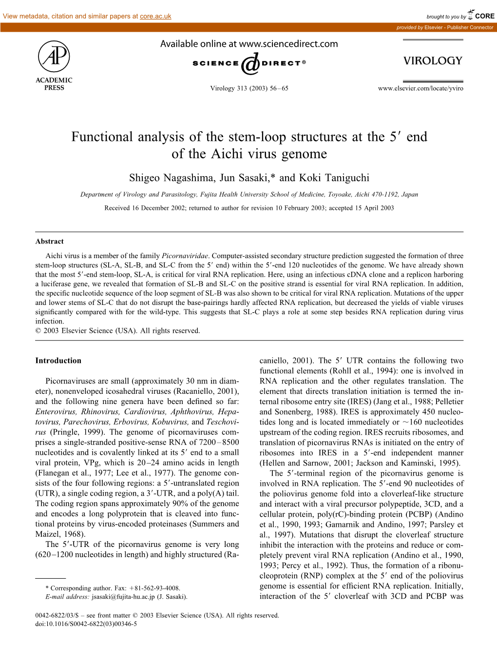 Functional Analysis of the Stem-Loop Structures at the 5 End of the Aichi