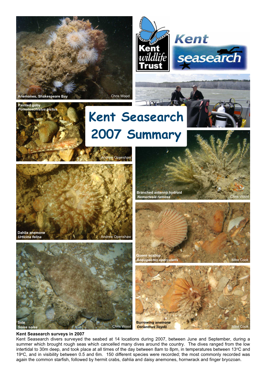 Seasearch 2007 Summary