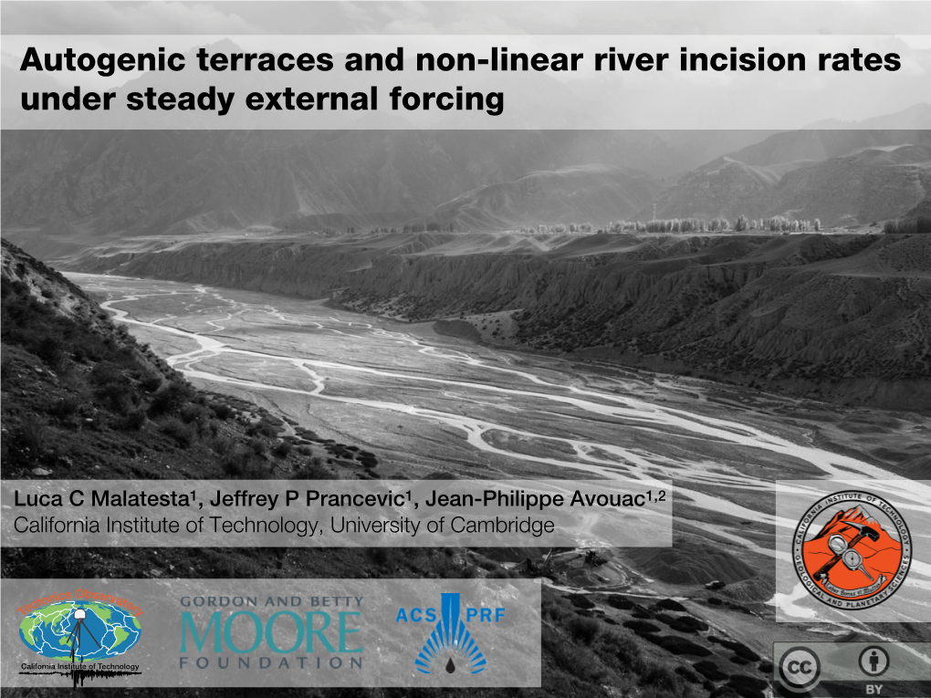 Autogenic Terraces and Non-Linear River Incision Rates Under Steady External Forcing