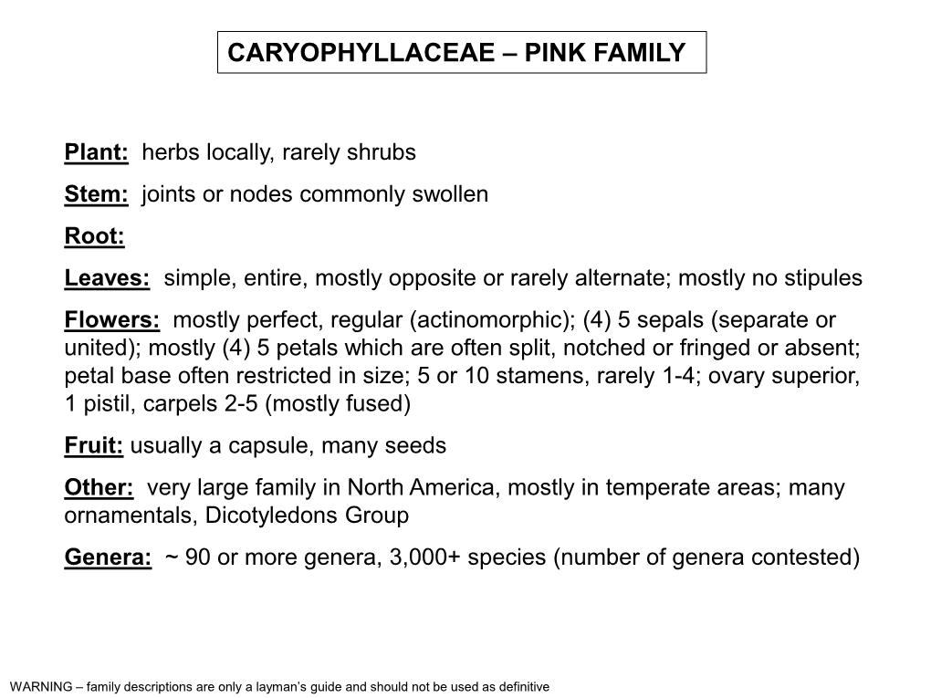 Caryophyllaceae – Pink Family