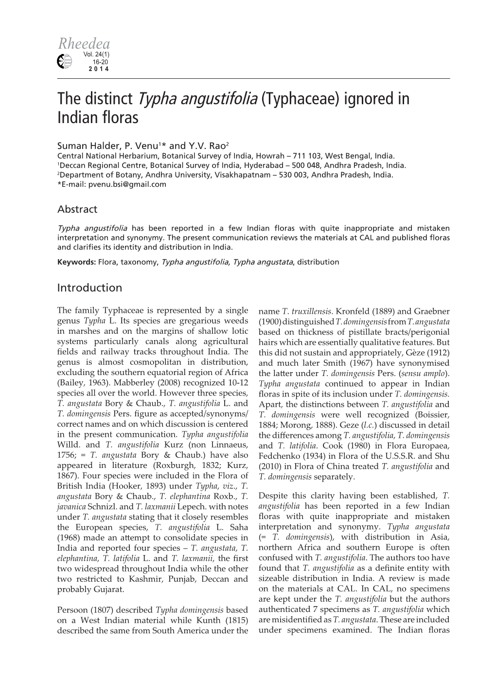 The Distinct Typha Angustifolia (Typhaceae) Ignored in Indian Floras