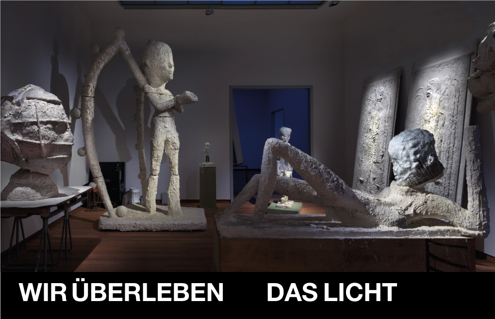 Wir Überleben Das Licht ART Johan Tahon