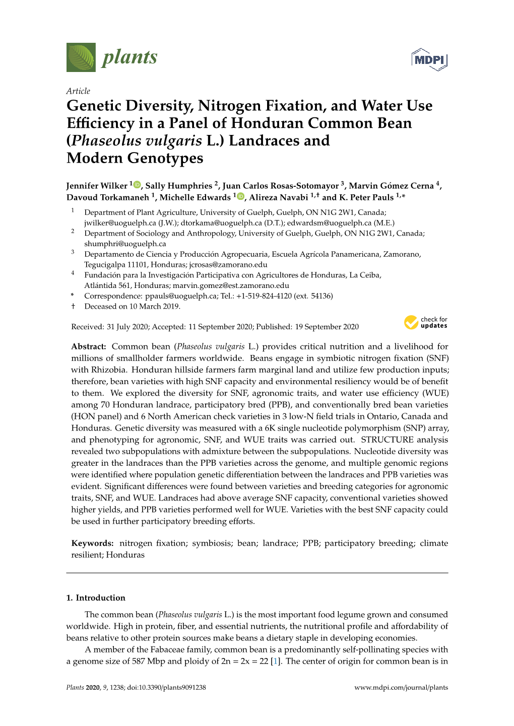 Genetic Diversity, Nitrogen Fixation, and Water Use Efficiency in a Panel of Honduran Common Bean (Phaseolus Vulgaris L.) Landraces and Modern Genotypes