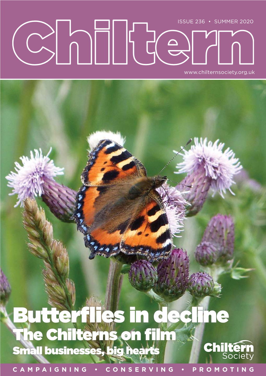 Butterflies in Decline the Chilterns on Film Small Businesses, Big Hearts