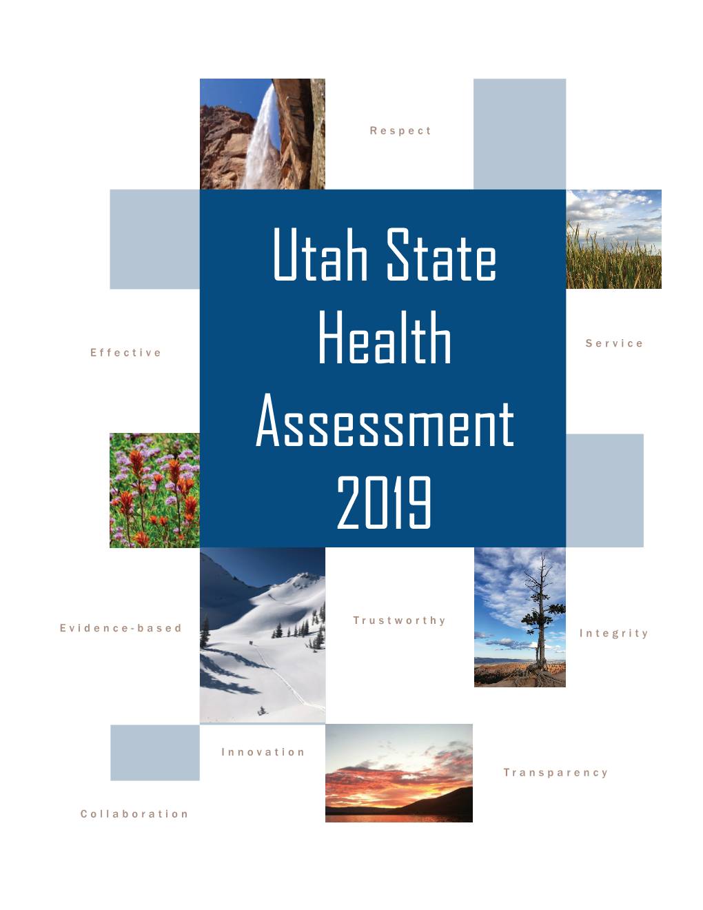 Utah State Health Assessment Report 2019
