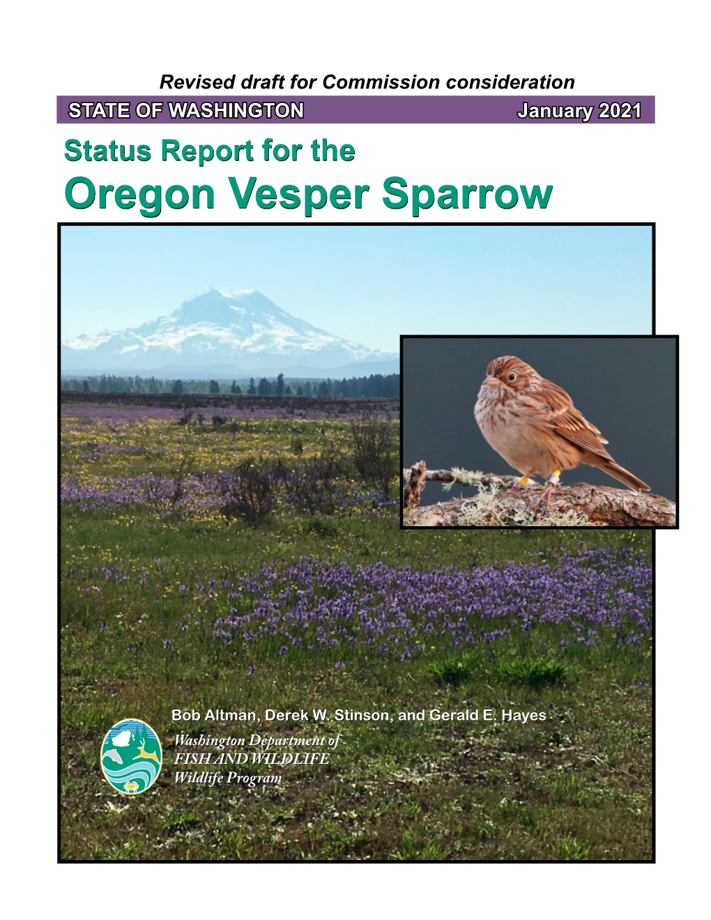 Oregon Vesper Sparrow