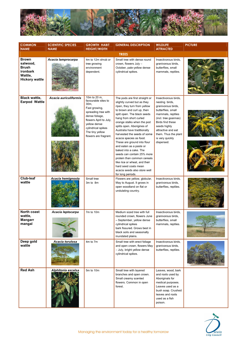 A Comprehensive Guide to Native Plants of the Darwin Region