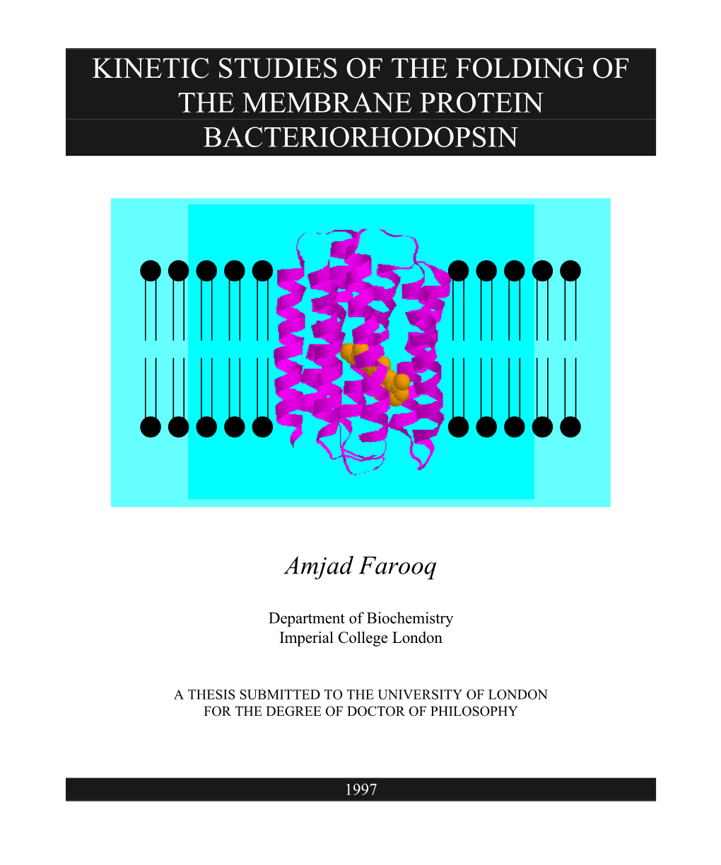 Kinetic Studies of the Folding of the Membrane Protein Bacteriorhodopsin