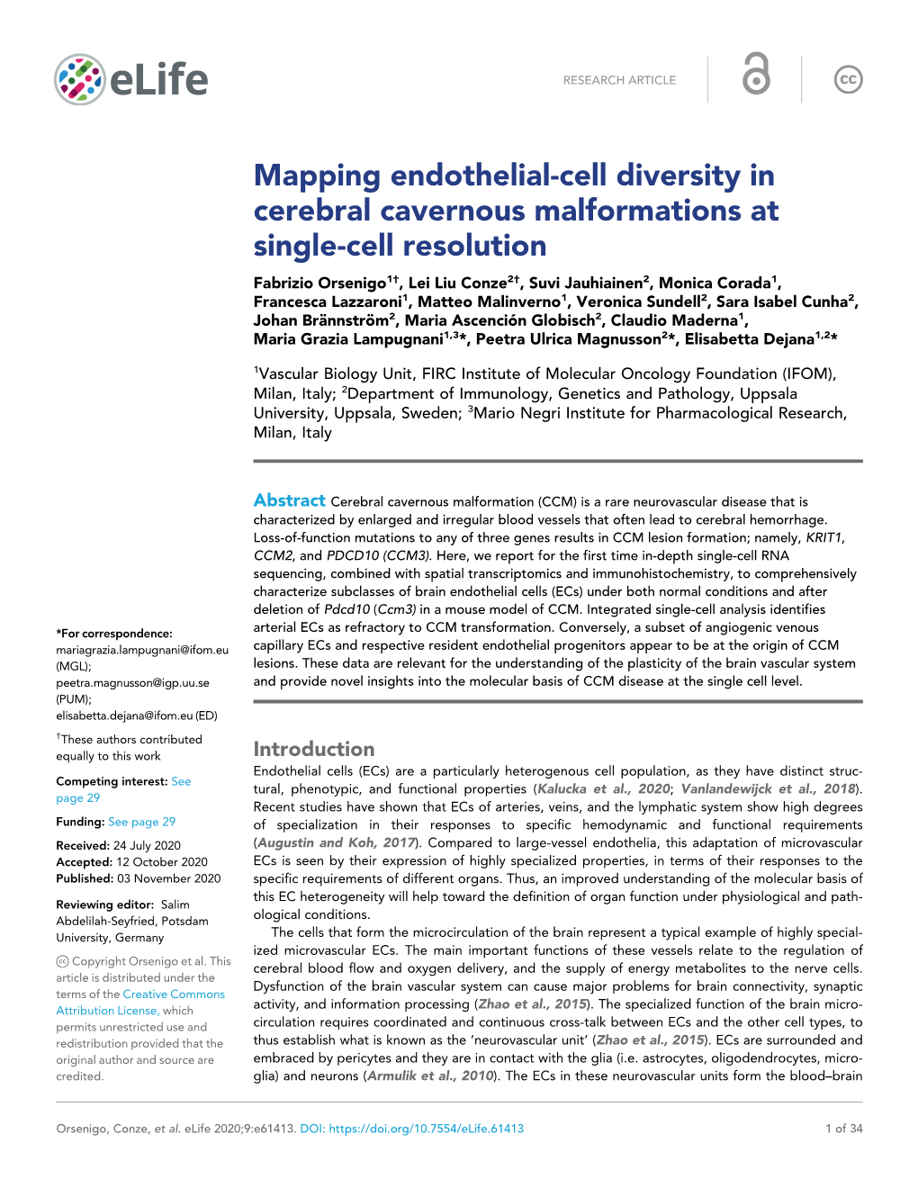 Mapping Endothelial-Cell Diversity in Cerebral Cavernous Malformations