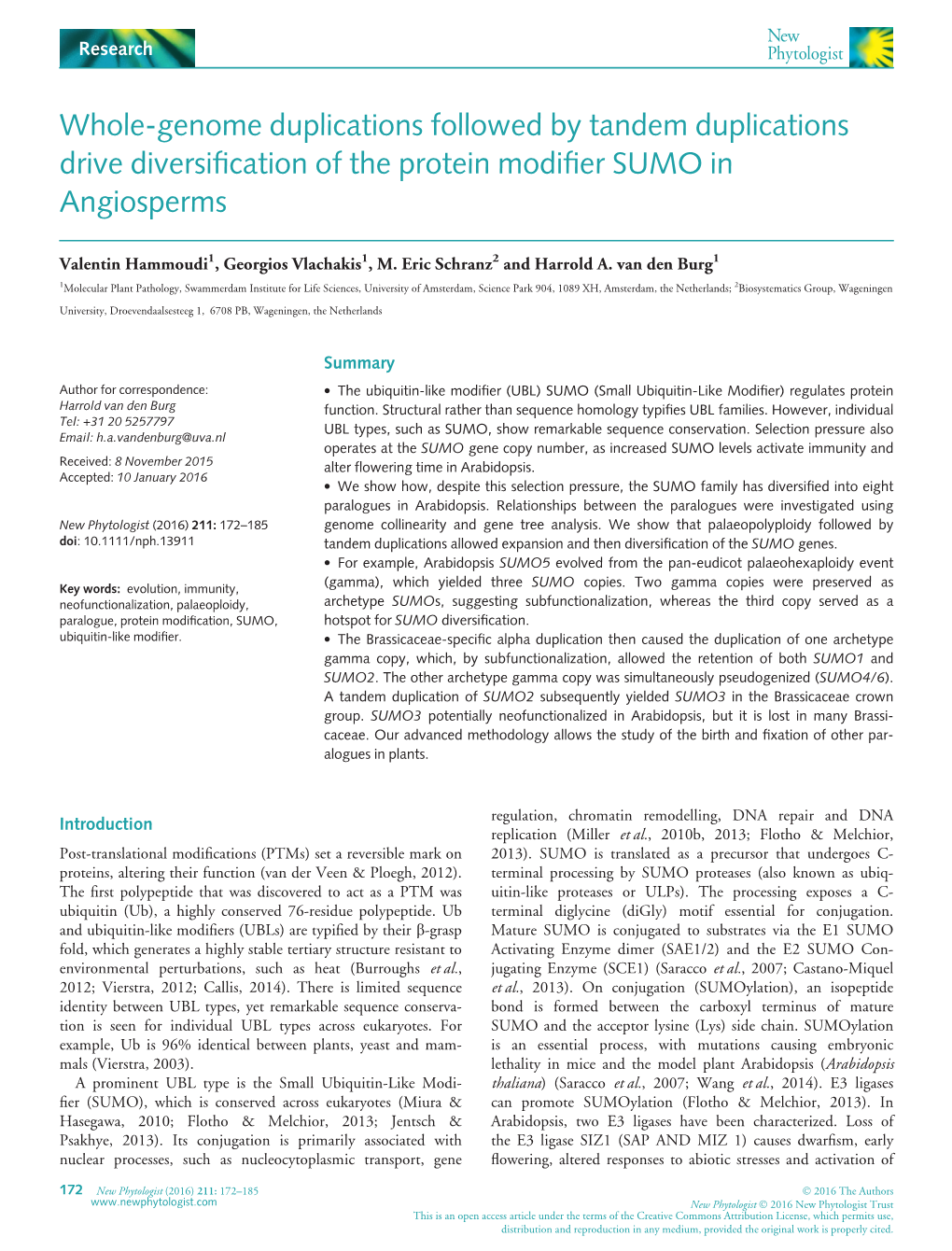 Genome Duplications Followed by Tandem Duplications Drive Diversiﬁcation of the Protein Modiﬁer SUMO in Angiosperms