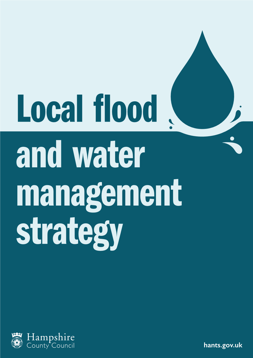 Local Flood and Water Management Strategy