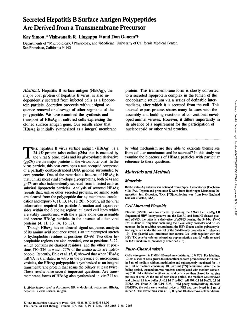 Secreted Hepatitis B Surface Antigen Polypeptides Are Derived from a Transmembrane Precursor