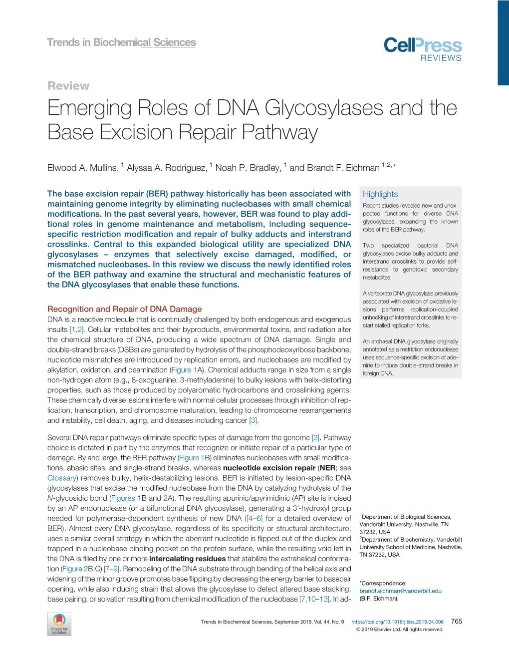 Emerging Roles of DNA Glycosylases and the Base Excision Repair Pathway