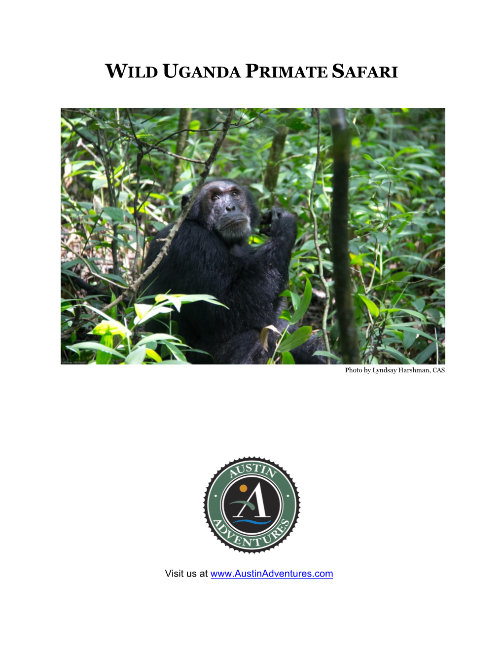 Wild Uganda Primate Safari