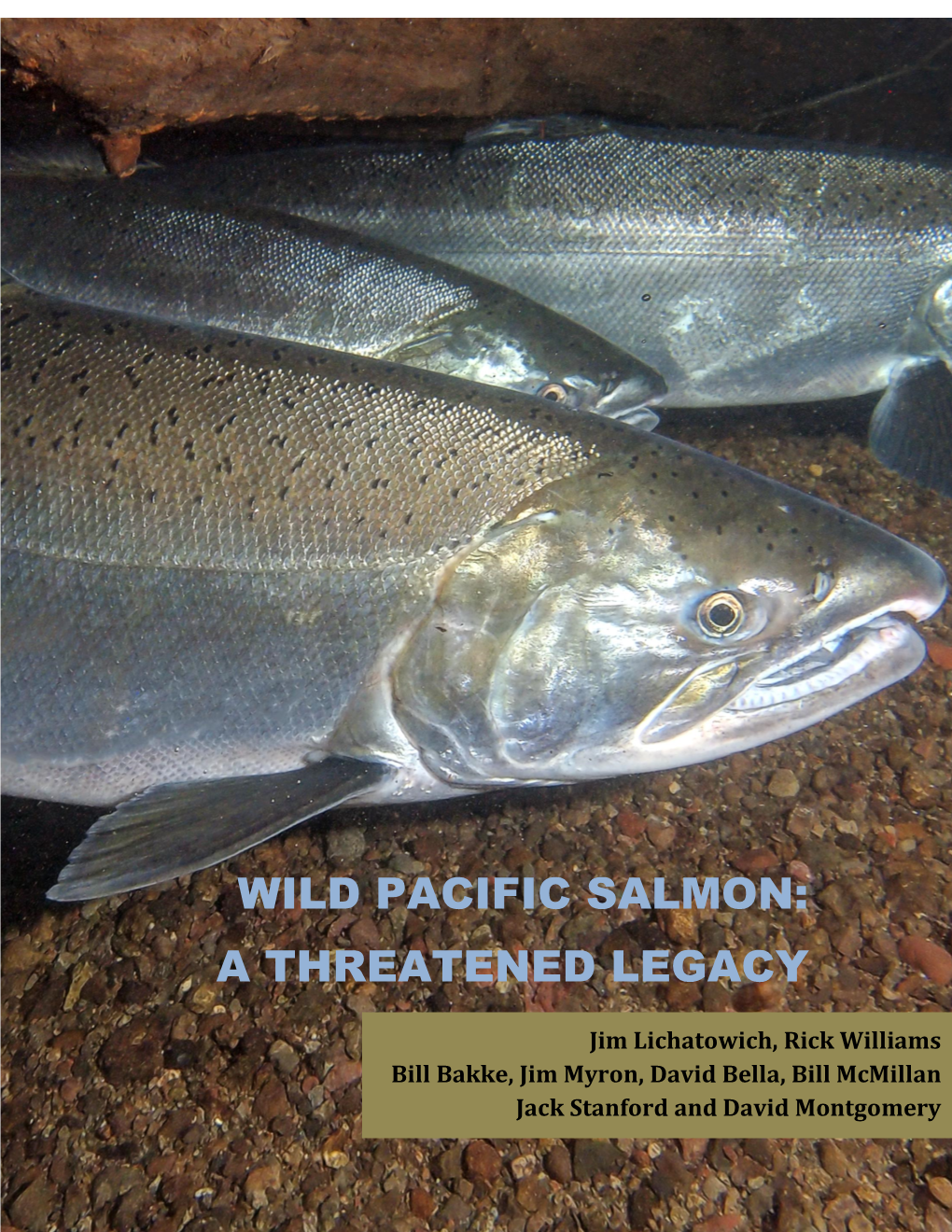 Wild Pacific Salmon:A Threatened Legacy