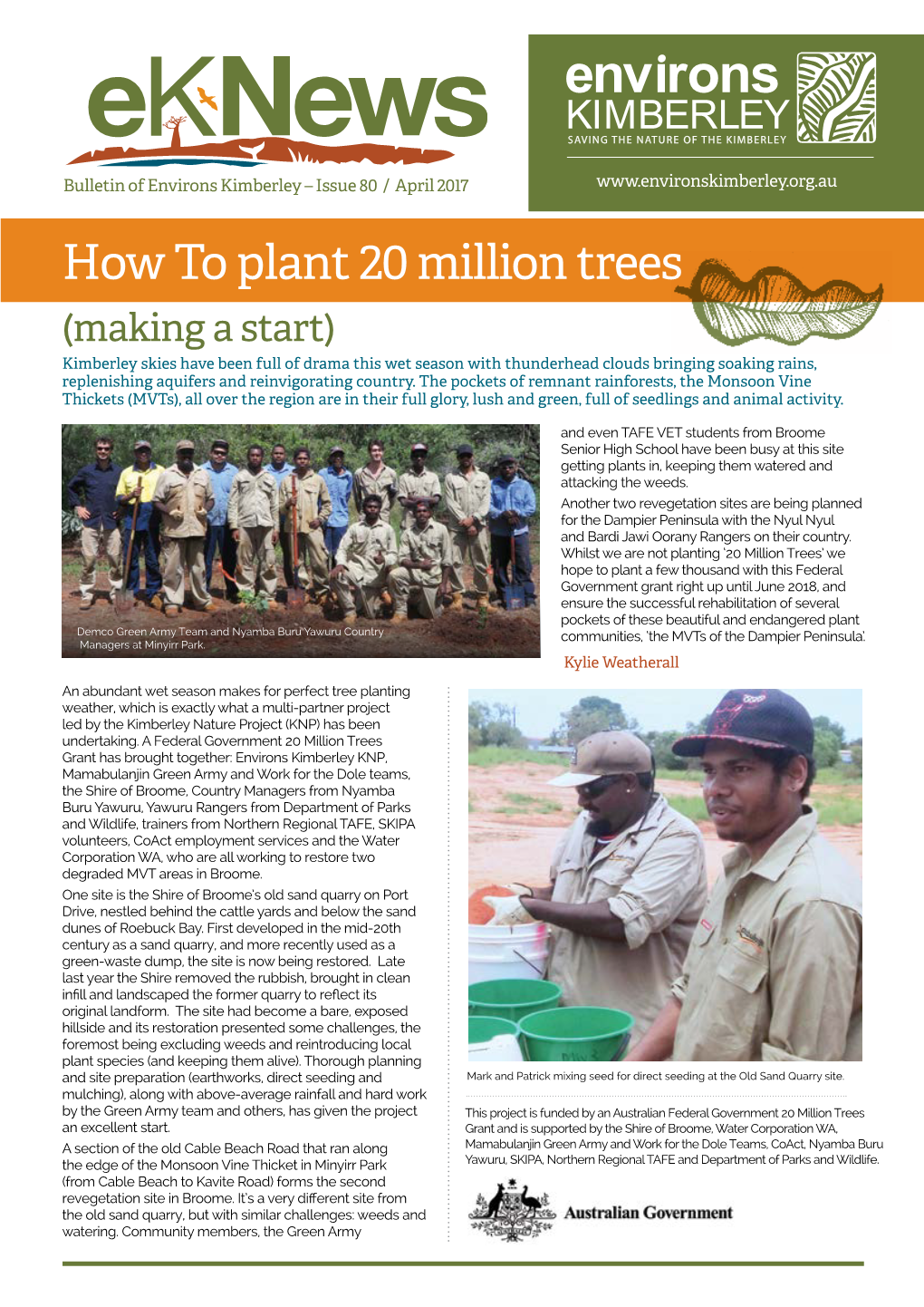 How to Plant 20 Million Trees