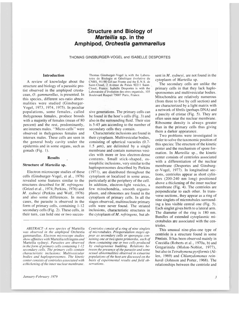 Structure and Biology of Marteilia Sp. in the Amphipod, Orchestia Gammarellus