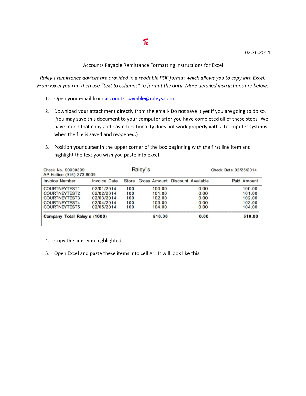 Accounts Payable Remittance Formatting Instructions for Excel