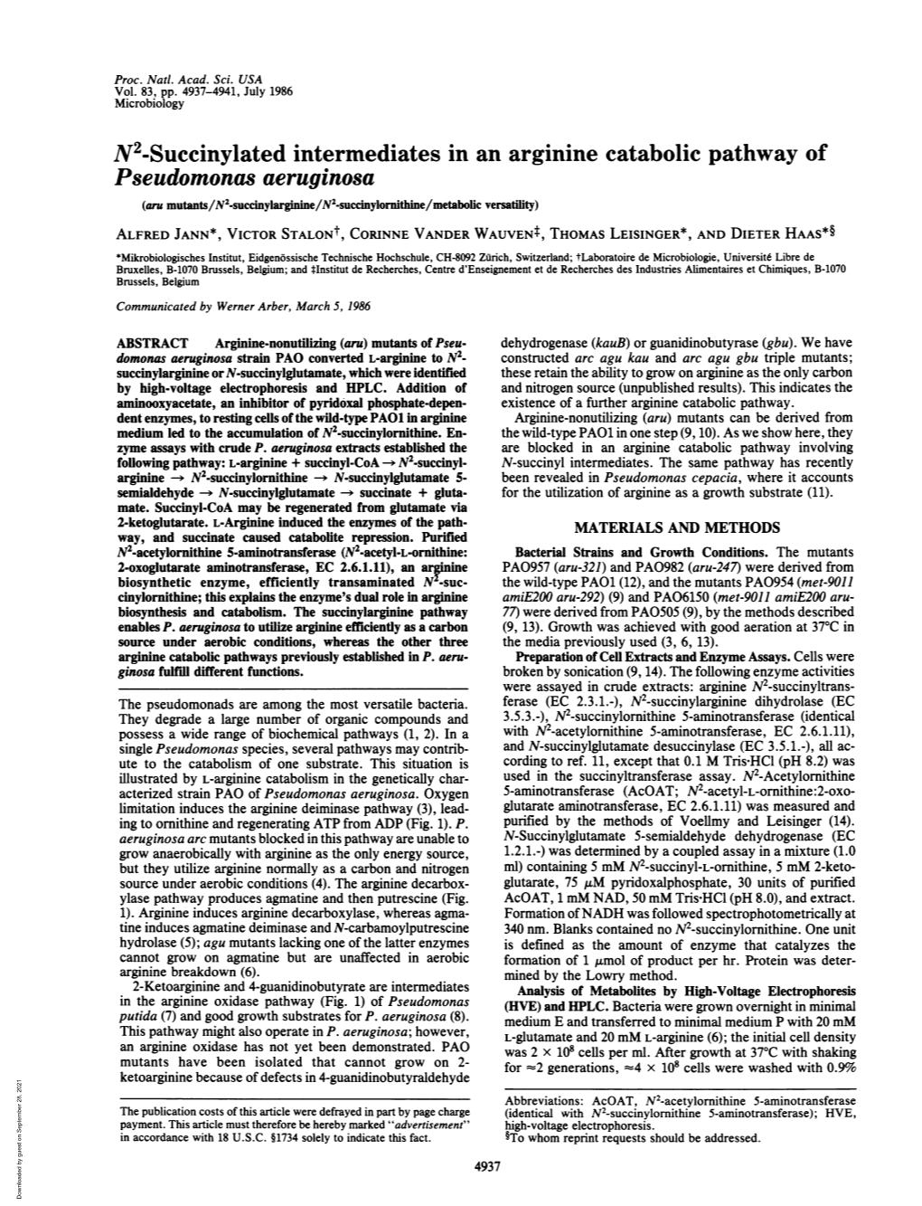 N2-Succinylated Intermediates in an Arginine Catabolic Pathway Of