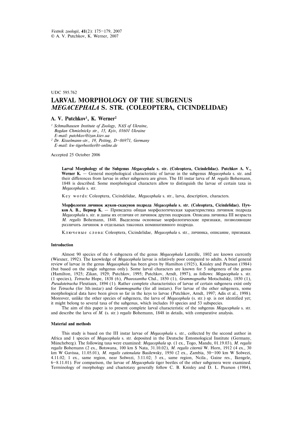 Larval Morphology of the Subgenus Megacephala S. Str. (Coleoptera, Cicindelidae)