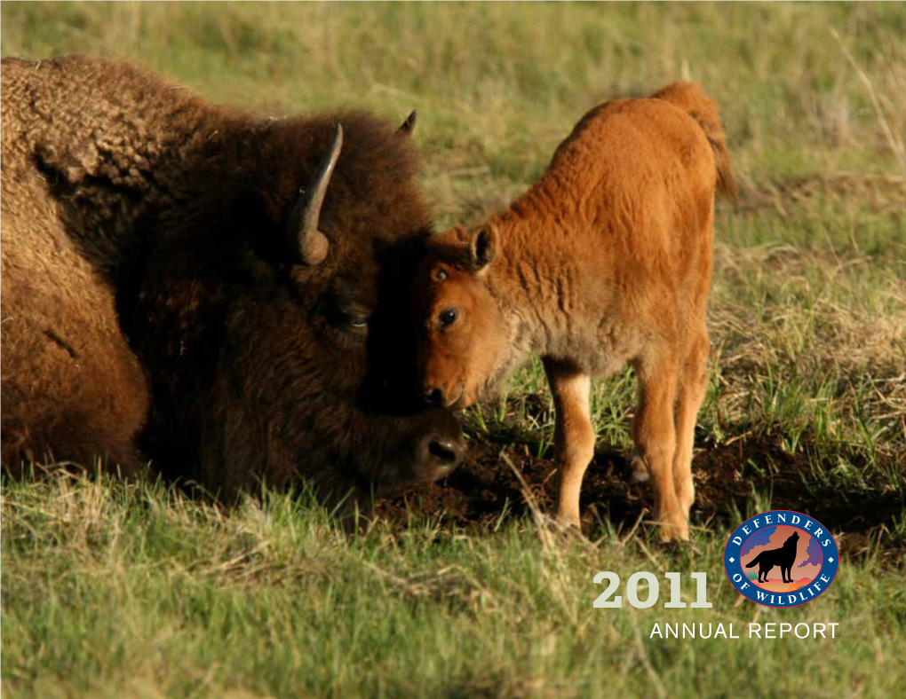 Annual Report Cover Photo:Bison Andcalf©David Lamfrom Donald Barry,President Executive Vice H