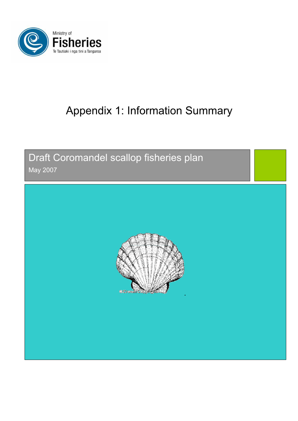 Draft Coromandel Scallop Fisheries Plan May 2007