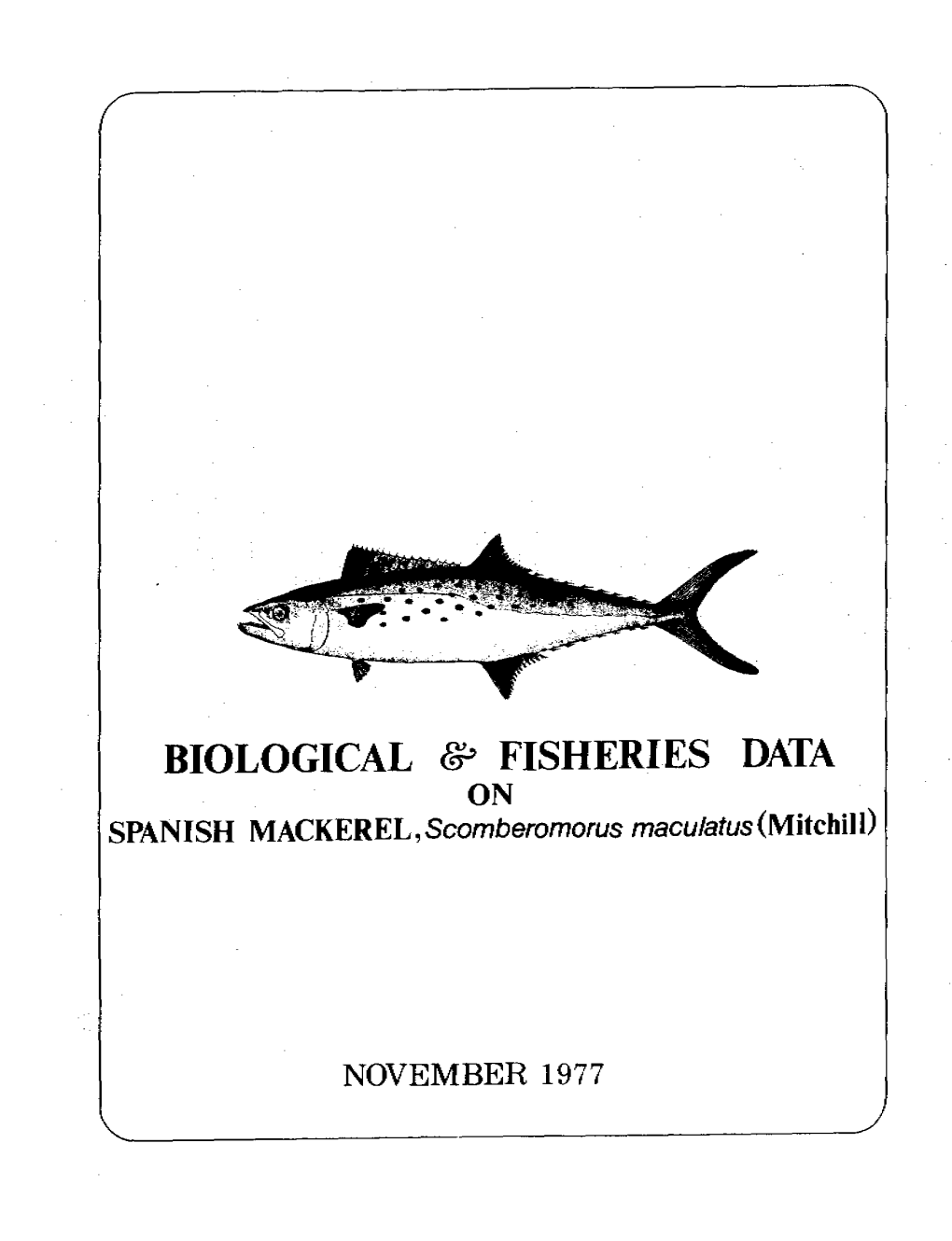 Biological and Fisheries Data on Spanish Mackerel, Scomberomorus