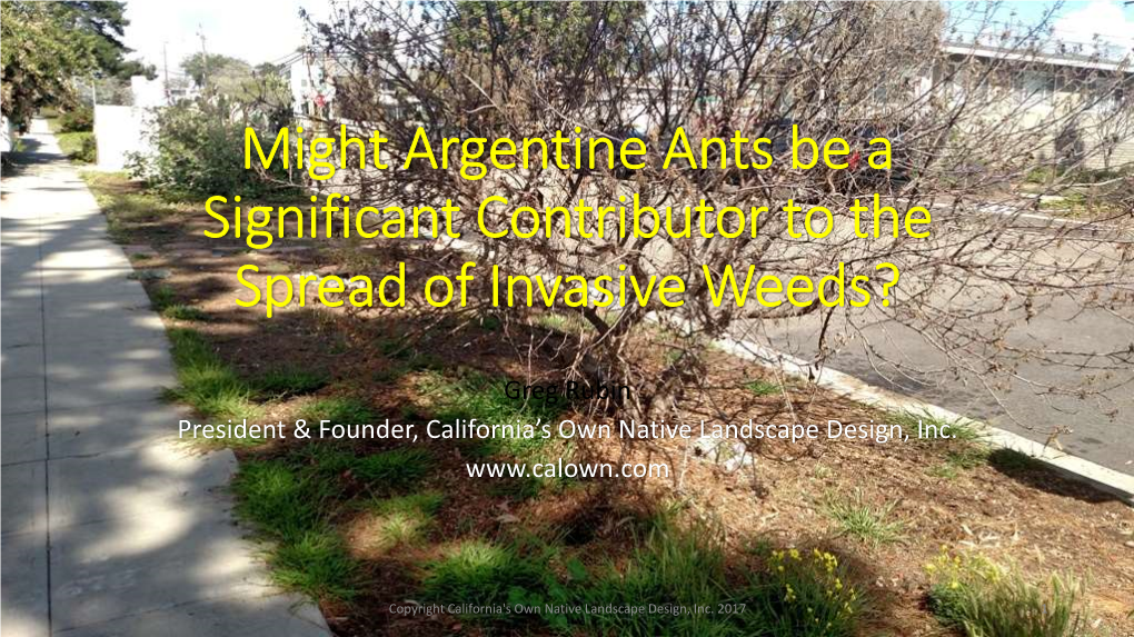 Argentine Ants May Be Significantly Contributing to the Spread Of