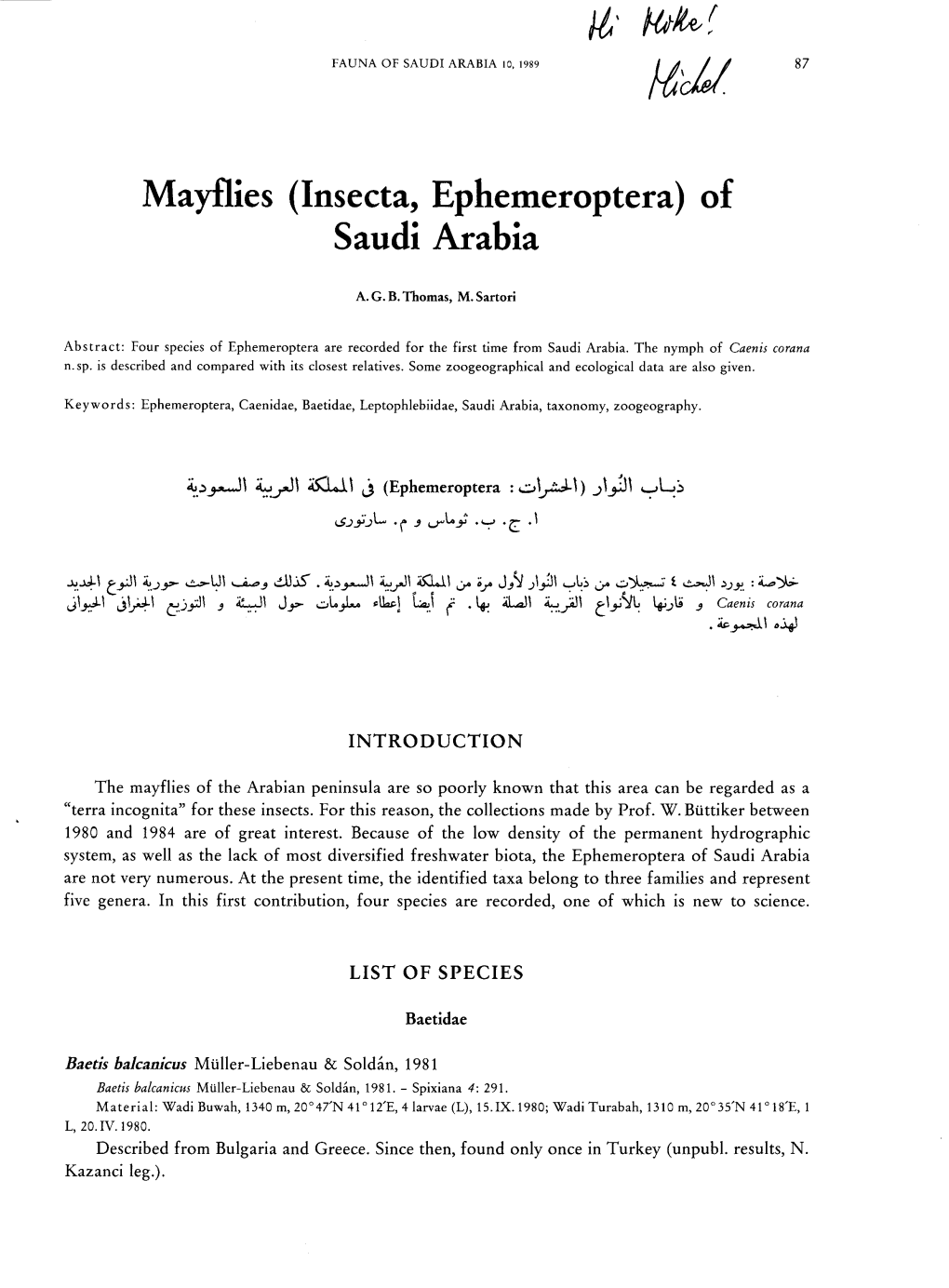 Mayflies (Insecta, Ephemeroptera) of Saudi Arabia