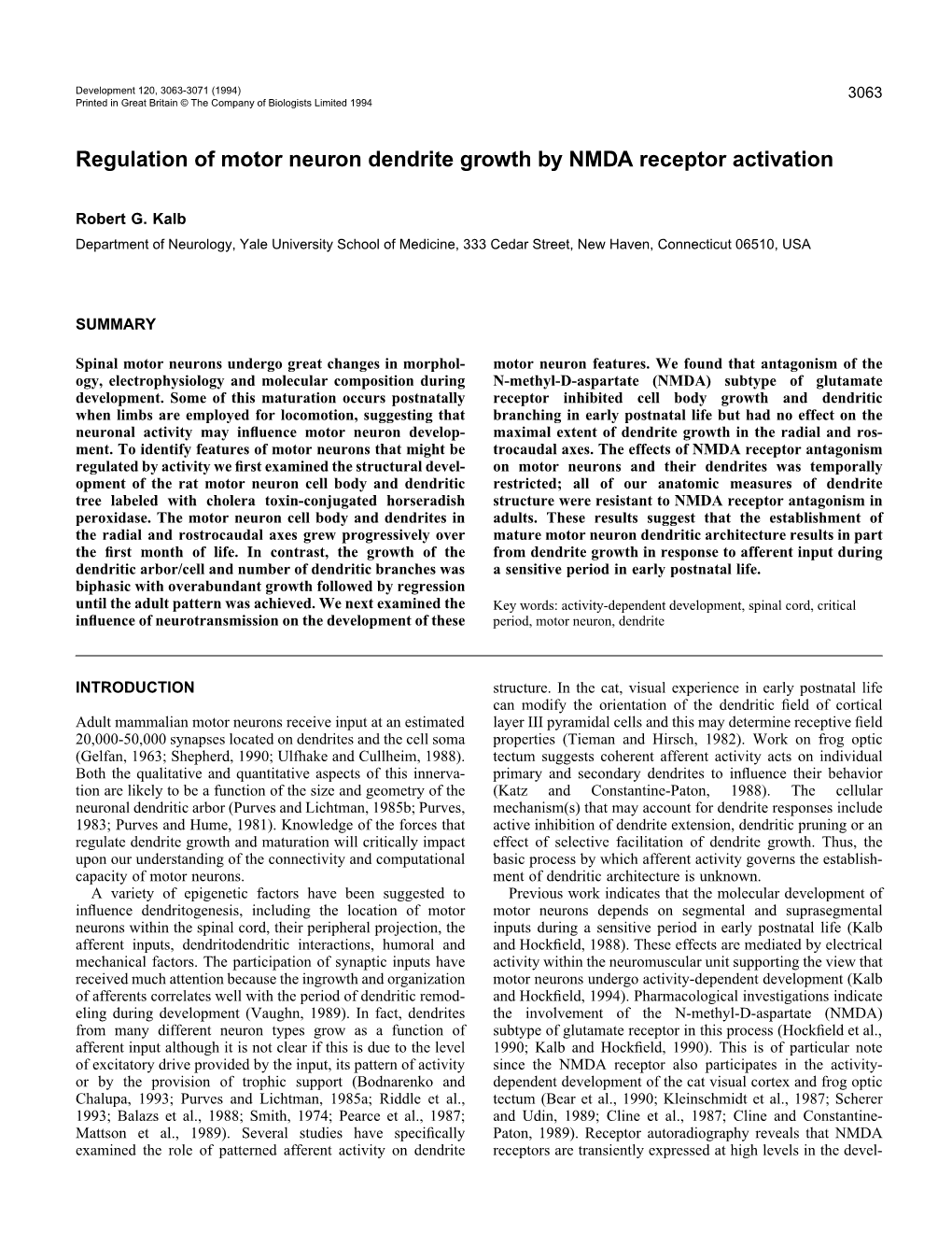 Regulation of Motor Neuron Dendrite Growth by NMDA Receptor Activation