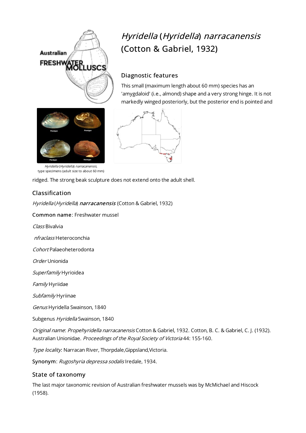 Hyridella) Narracanensis (Cotton & Gabriel, 1932