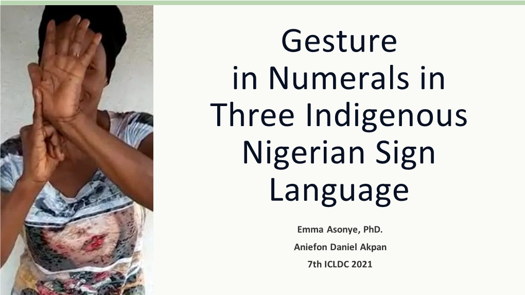 Gesture Nigerian Sign Language