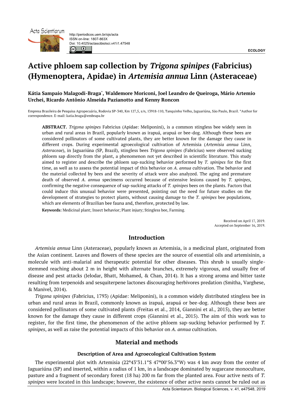 Active Phloem Sap Collection by Trigona Spinipes (Fabricius) (Hymenoptera, Apidae) in Artemisia Annua Linn (Asteraceae)