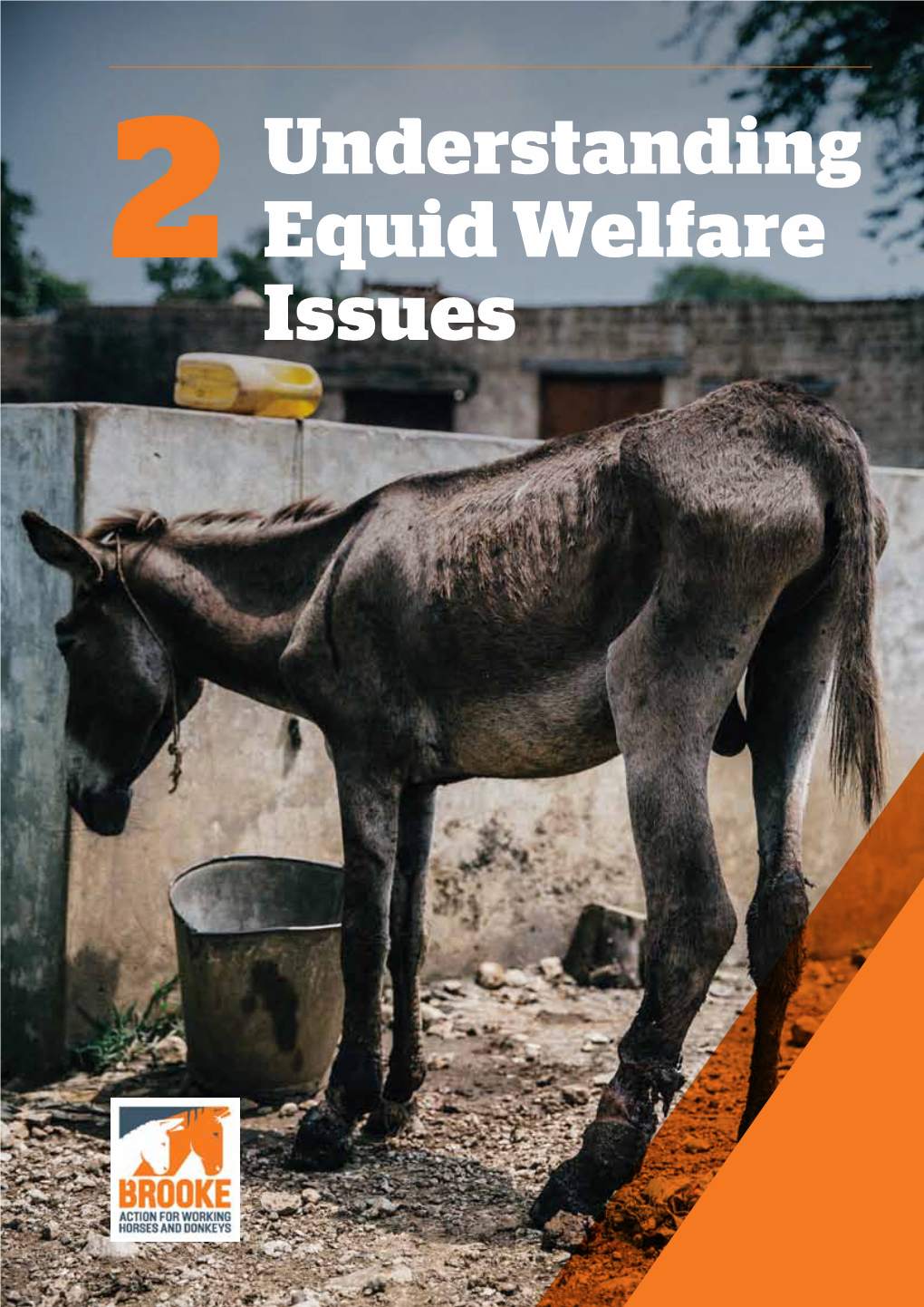 Welfare Issues, Complete Chapter