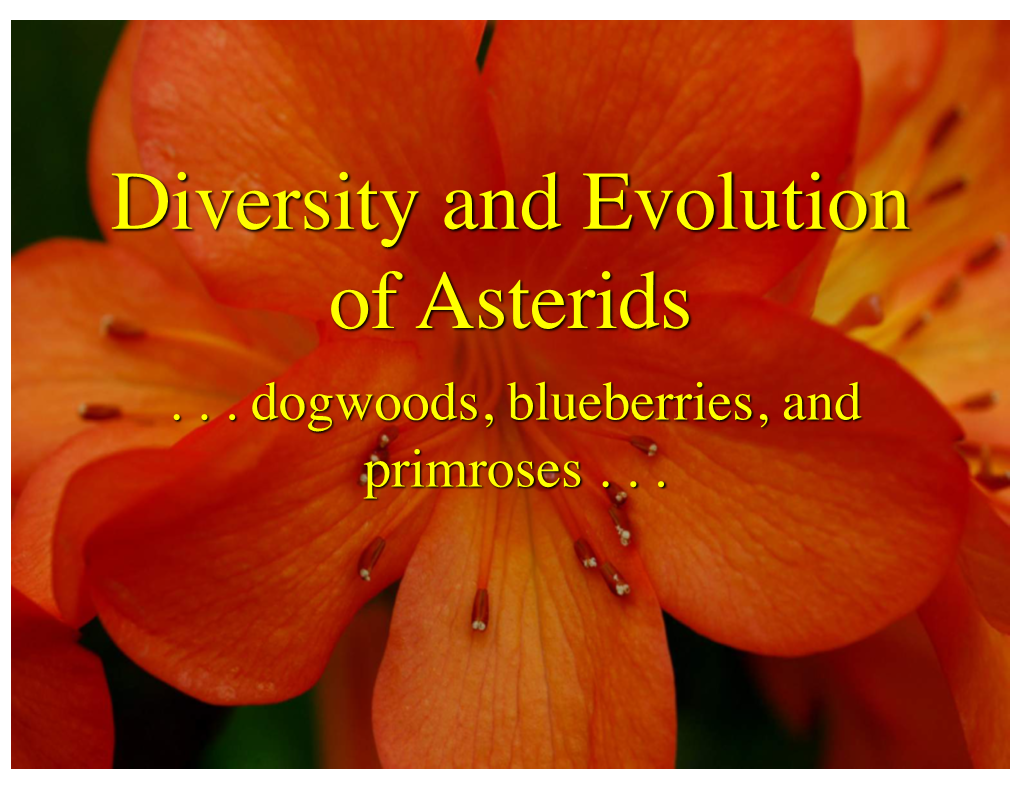 Diversity and Evolution of Asterids