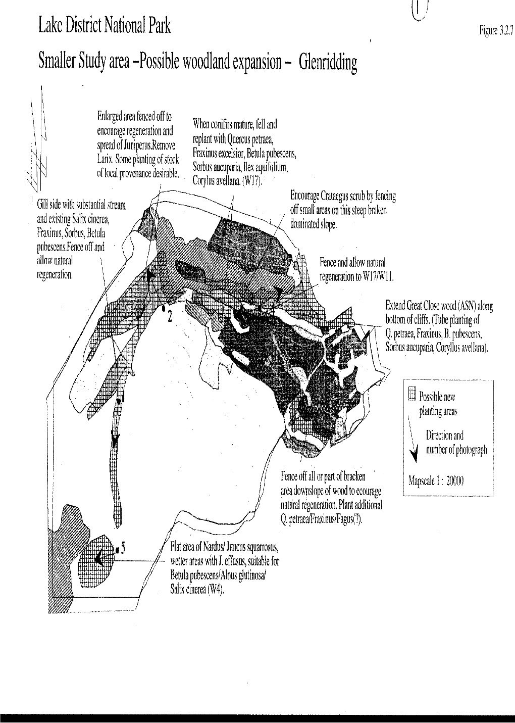 English Nature Research Report